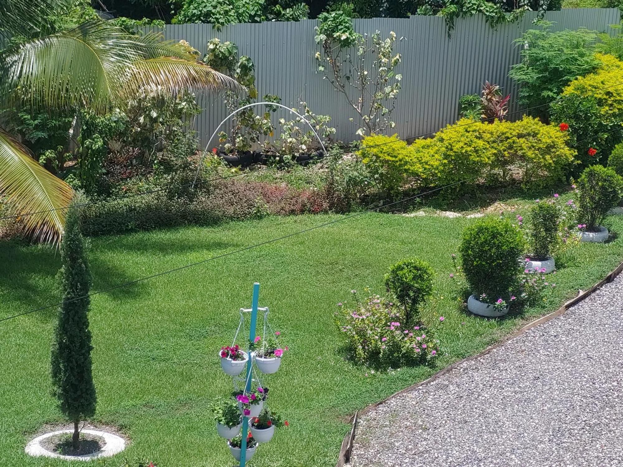 Hunter's Place - Tim Pappies * Port Antonio